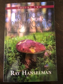 Random Mushrooms 2 side photo
